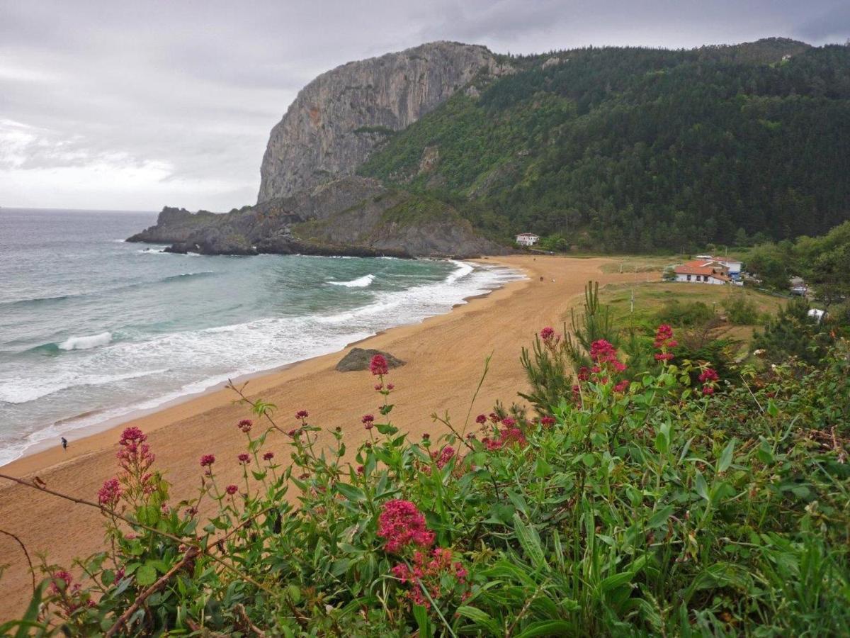 Gernika Urdaibai Διαμέρισμα Εξωτερικό φωτογραφία